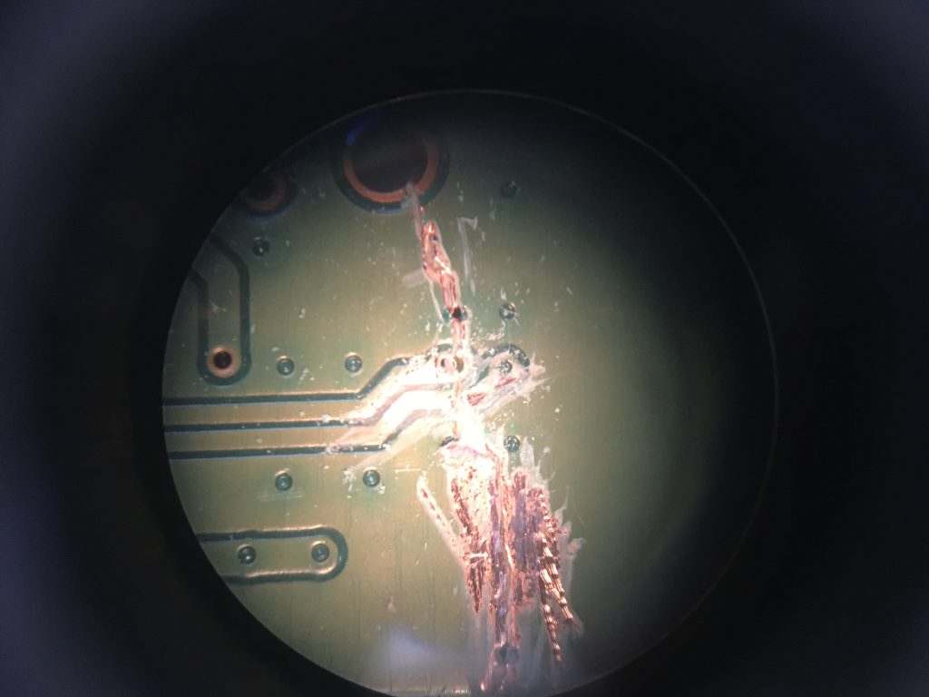 切断部分の顕微鏡写真